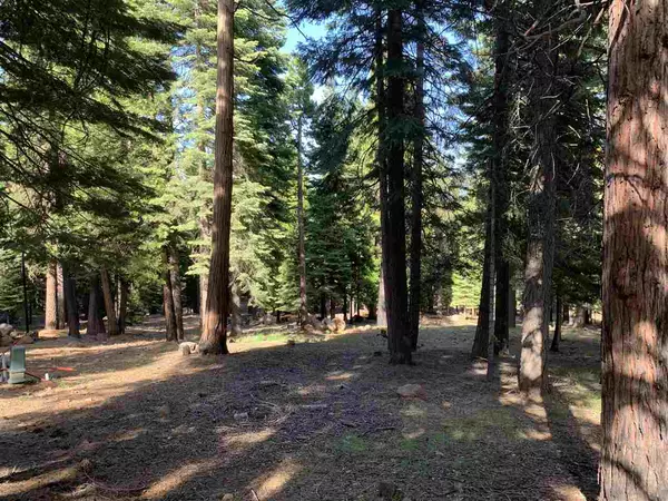 Lake Almanor West, CA 96020,203 Top of the West Drive