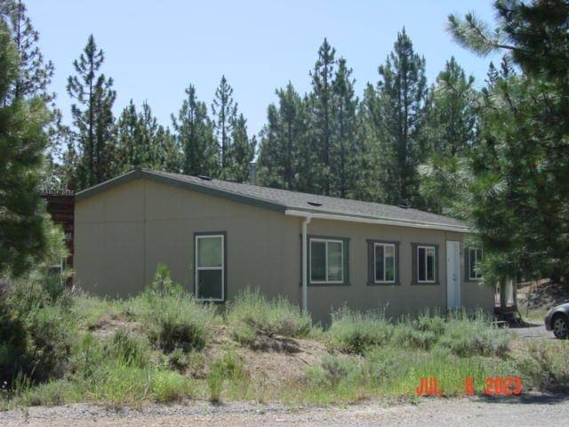 29 Cedar Ravine Road, Lake Davis, CA 96122