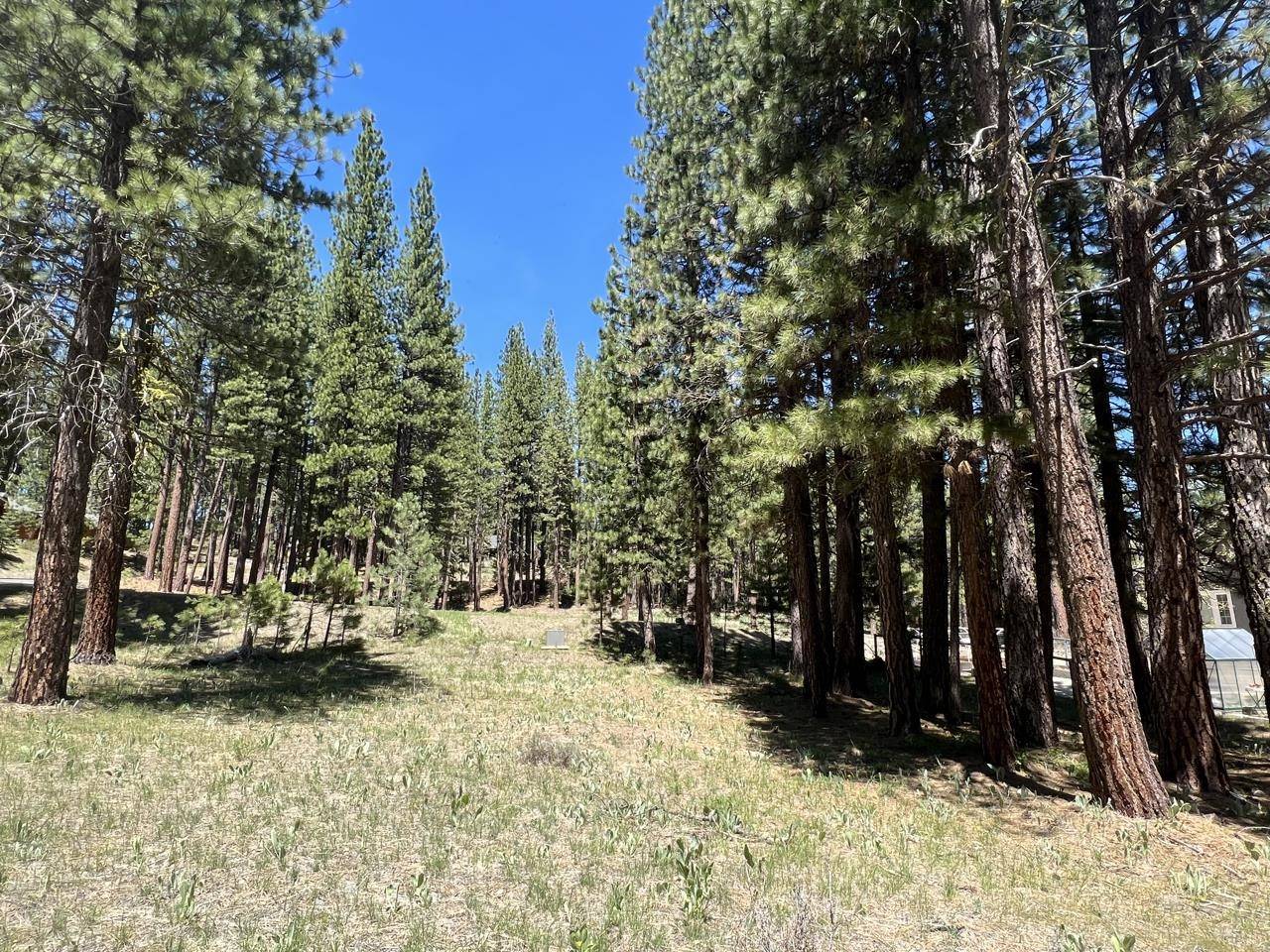 Graeagle, CA 96103,225 Gold Nugget Lane