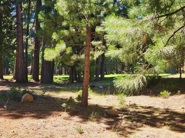 314 Maidu Drive, Lake Almanor West, CA 96020