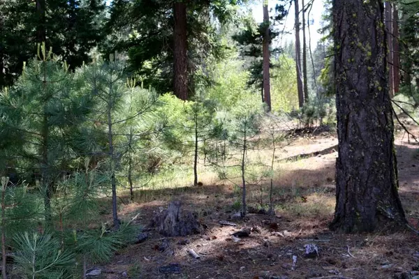 Graeagle, CA 96103,86 Eureka Springs Drive