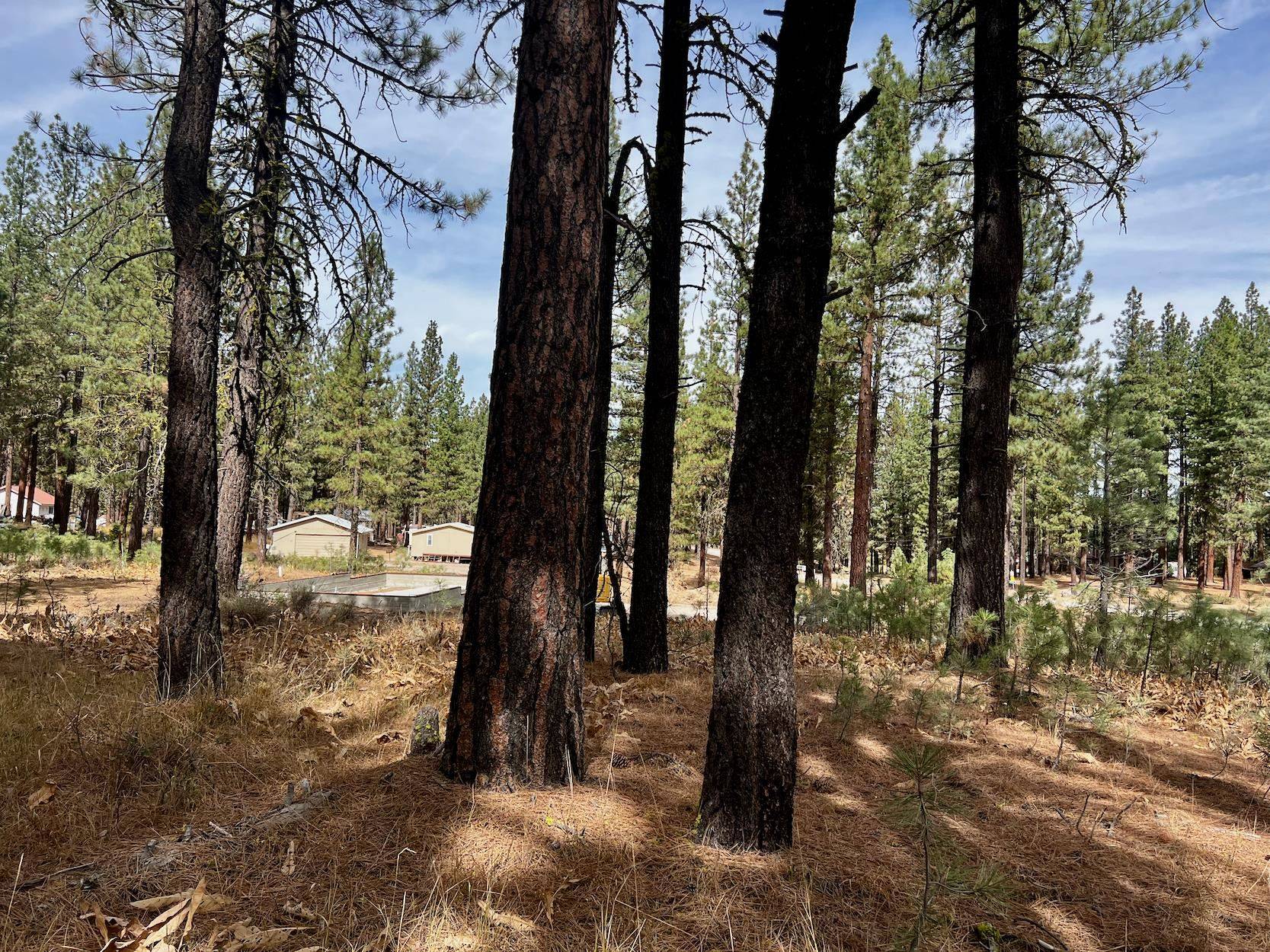 Portola, CA 96122,5739 Iron Horse Drive