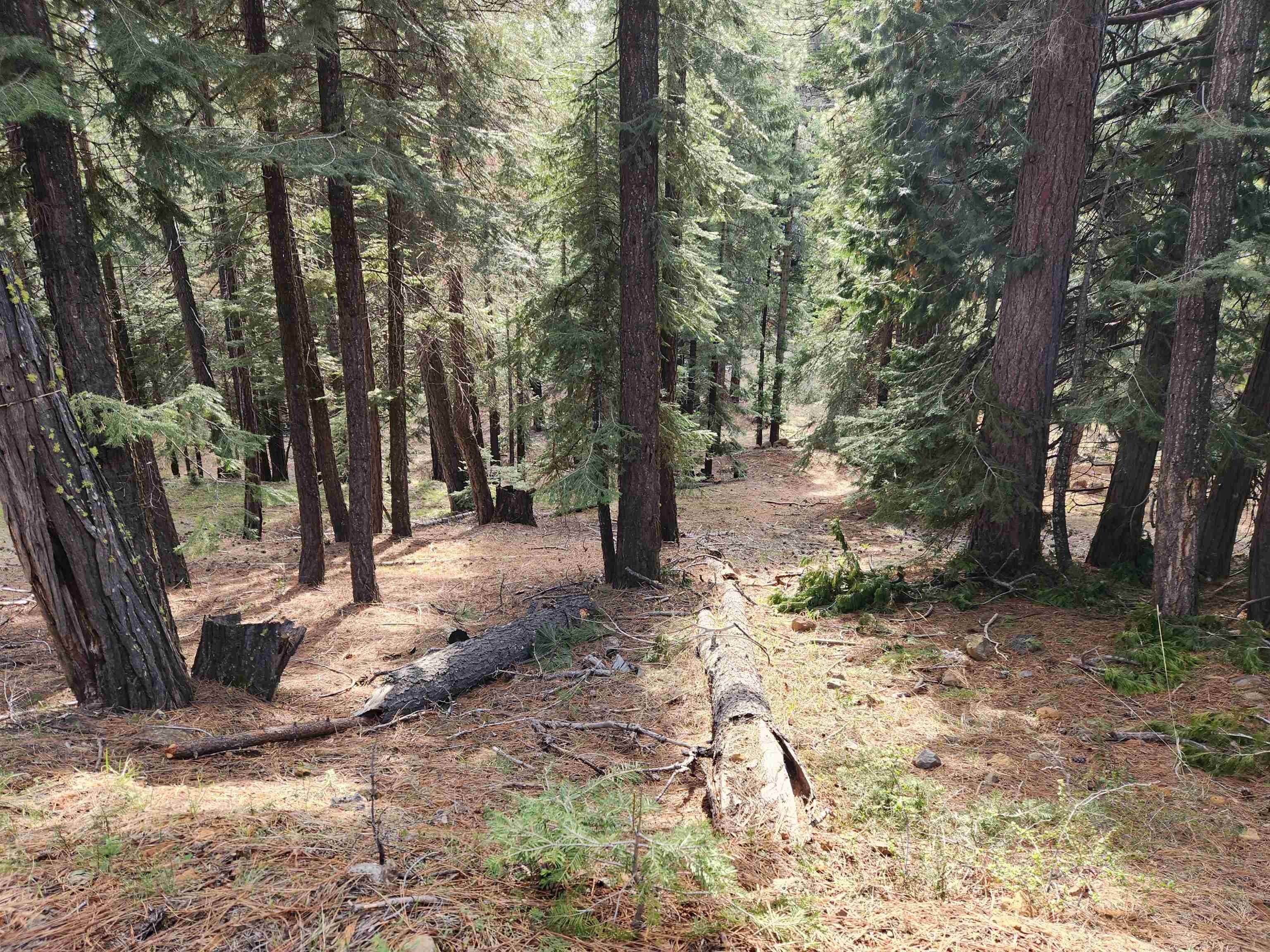 Lake Almanor, CA 96137,2522 Big Springs Road