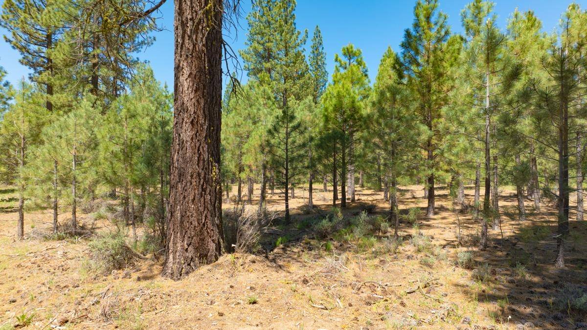 Clio, CA 96106,1810 Valley Ranch Drive