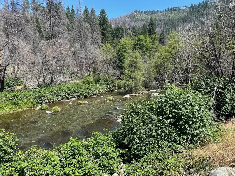 5680 Seneca Road, Seneca, CA 95923-1234