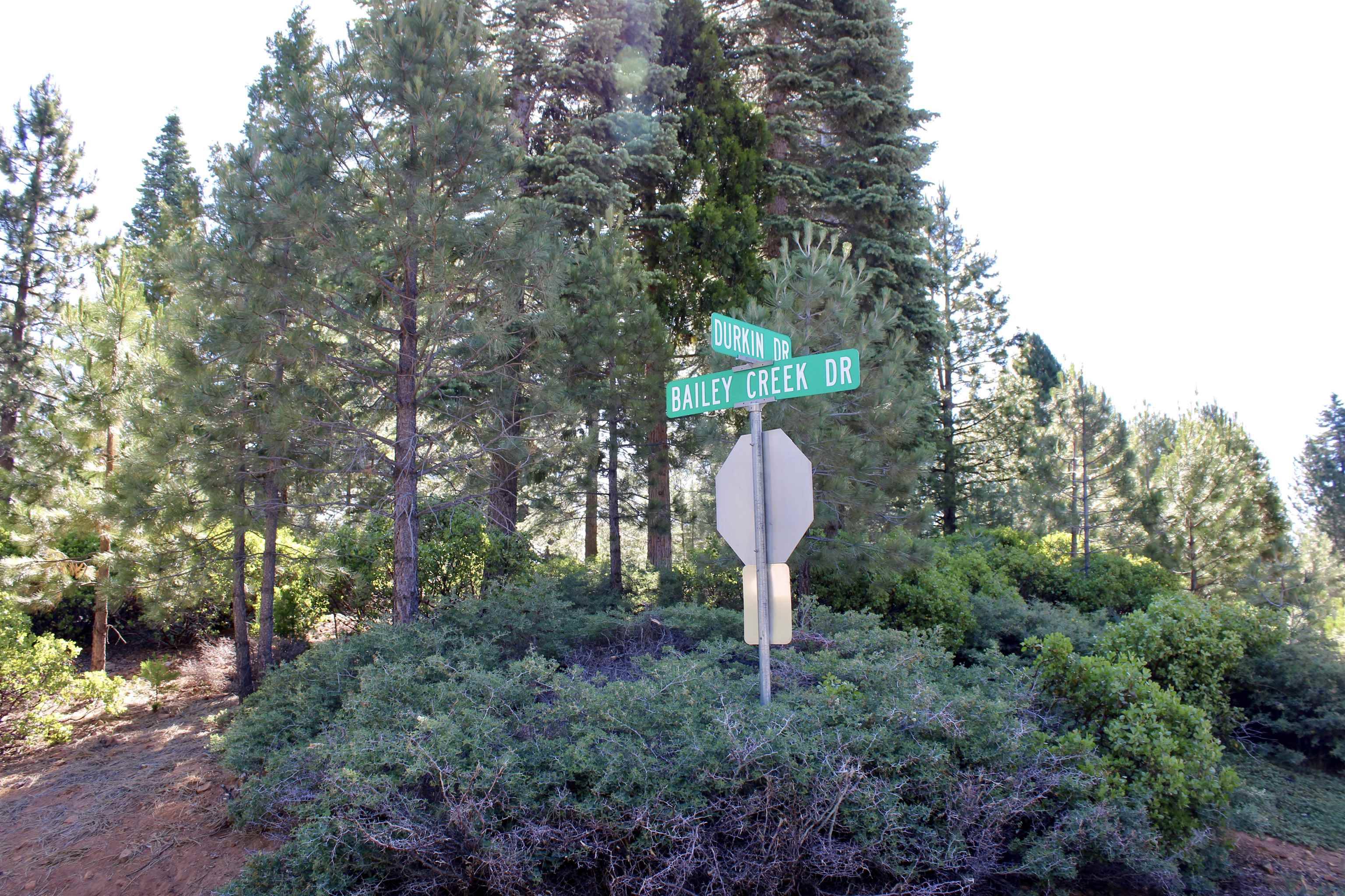 608 Durkin Drive, Lake Almanor, CA 96137-8517