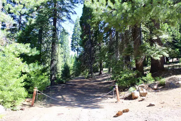 621 W Burnt Cedar Road, Lake Almanor, CA 96137-9505