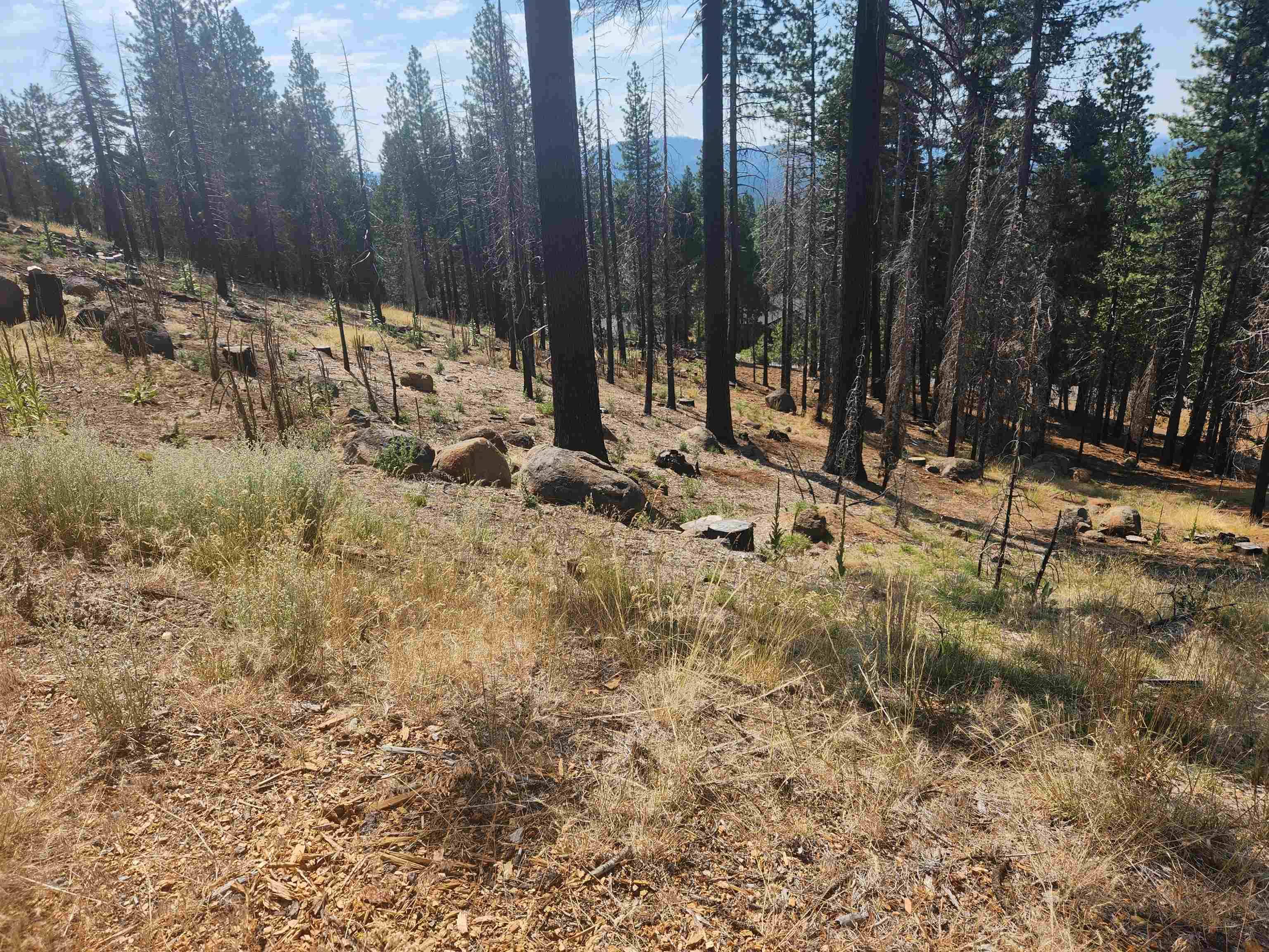 Lake Almanor West, CA 96020,512 Eagle Crest Drive