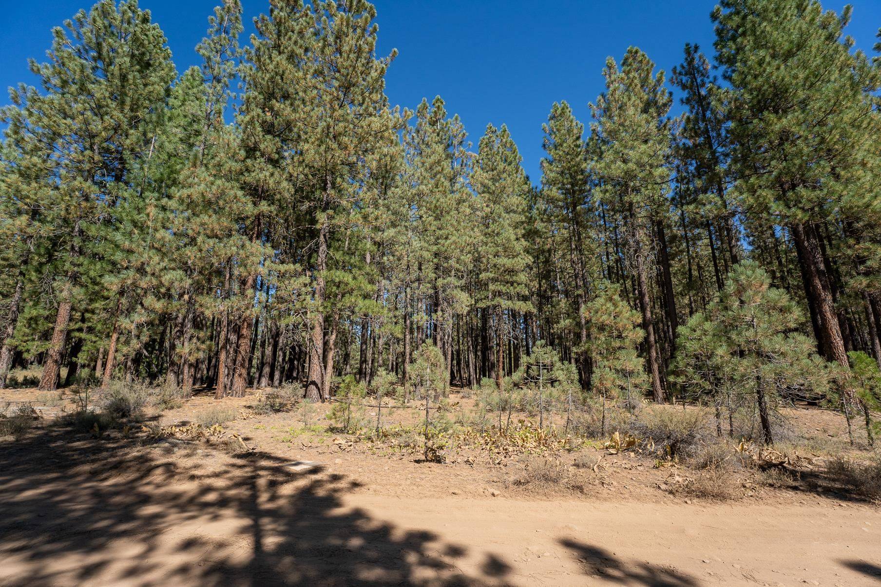 167 Bear Way, Portola, CA 96122