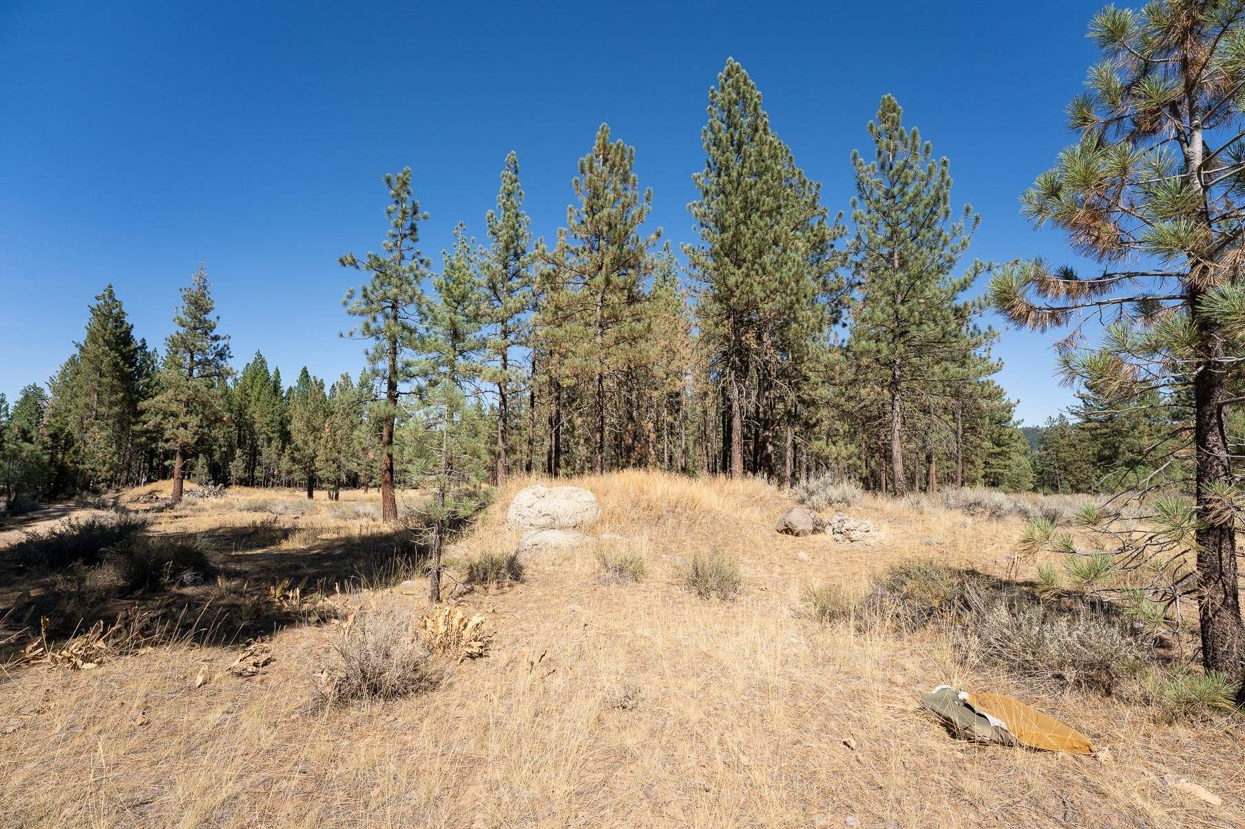 215 Cougar Way, Portola, CA 96122