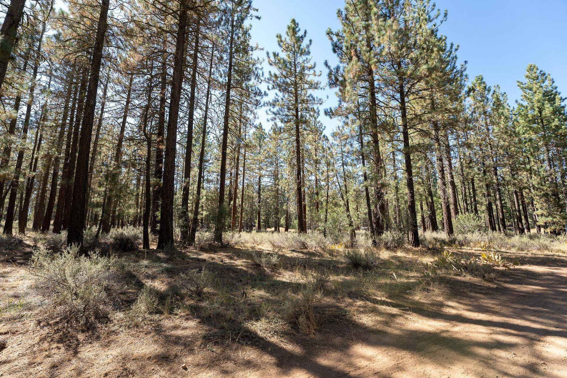225 Cougar Way, Portola, CA 96122