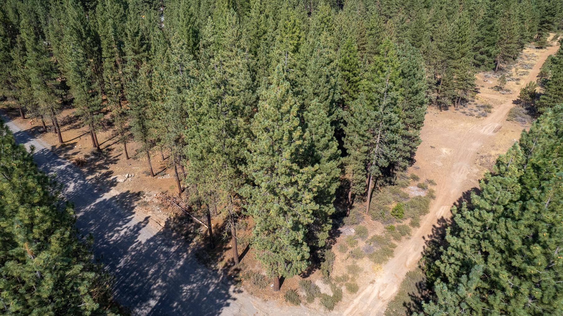Portola, CA 96122,167 Otter Way