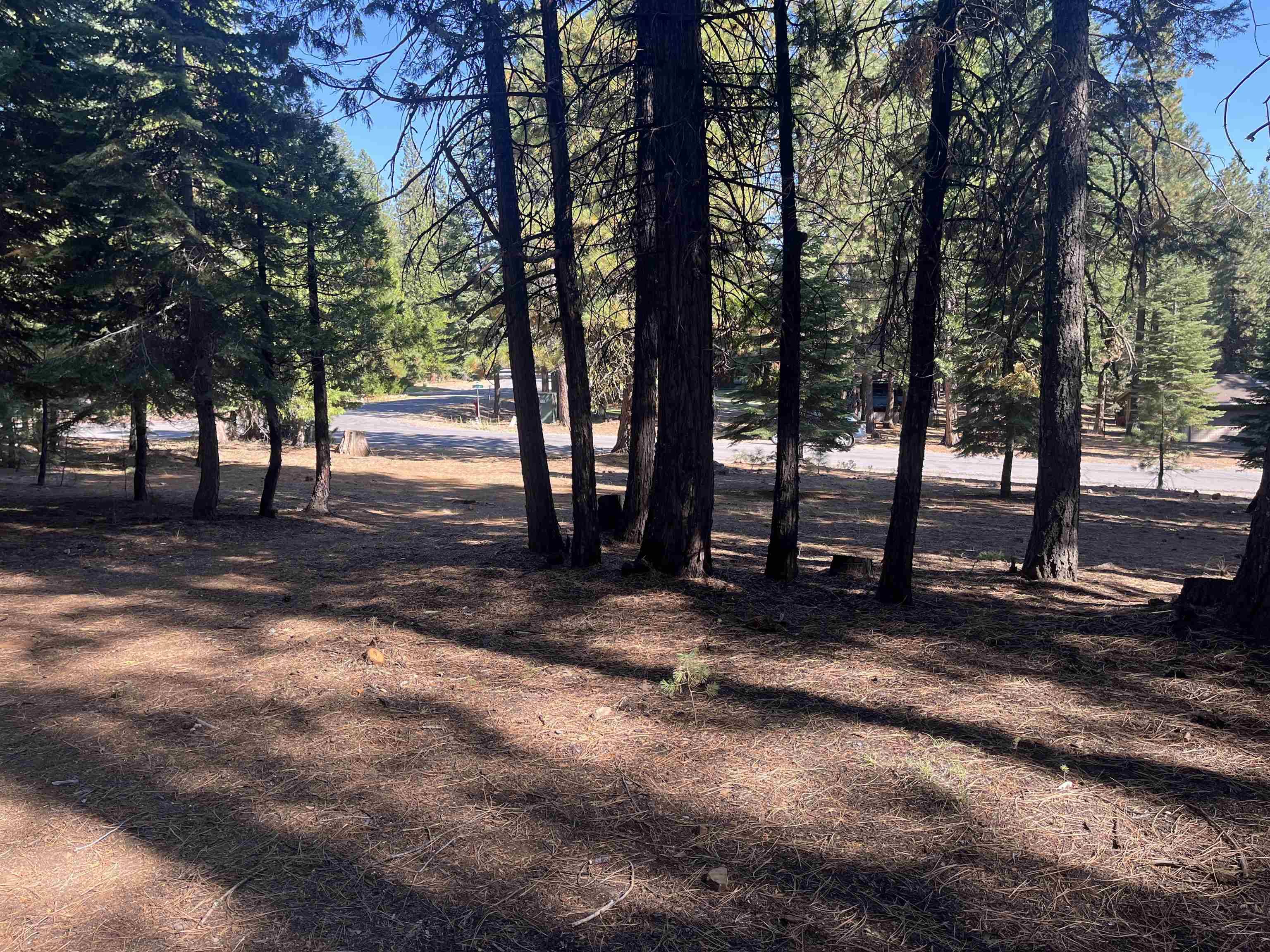 935 Long Iron Drive, Lake Almanor West, CA 96020-0000