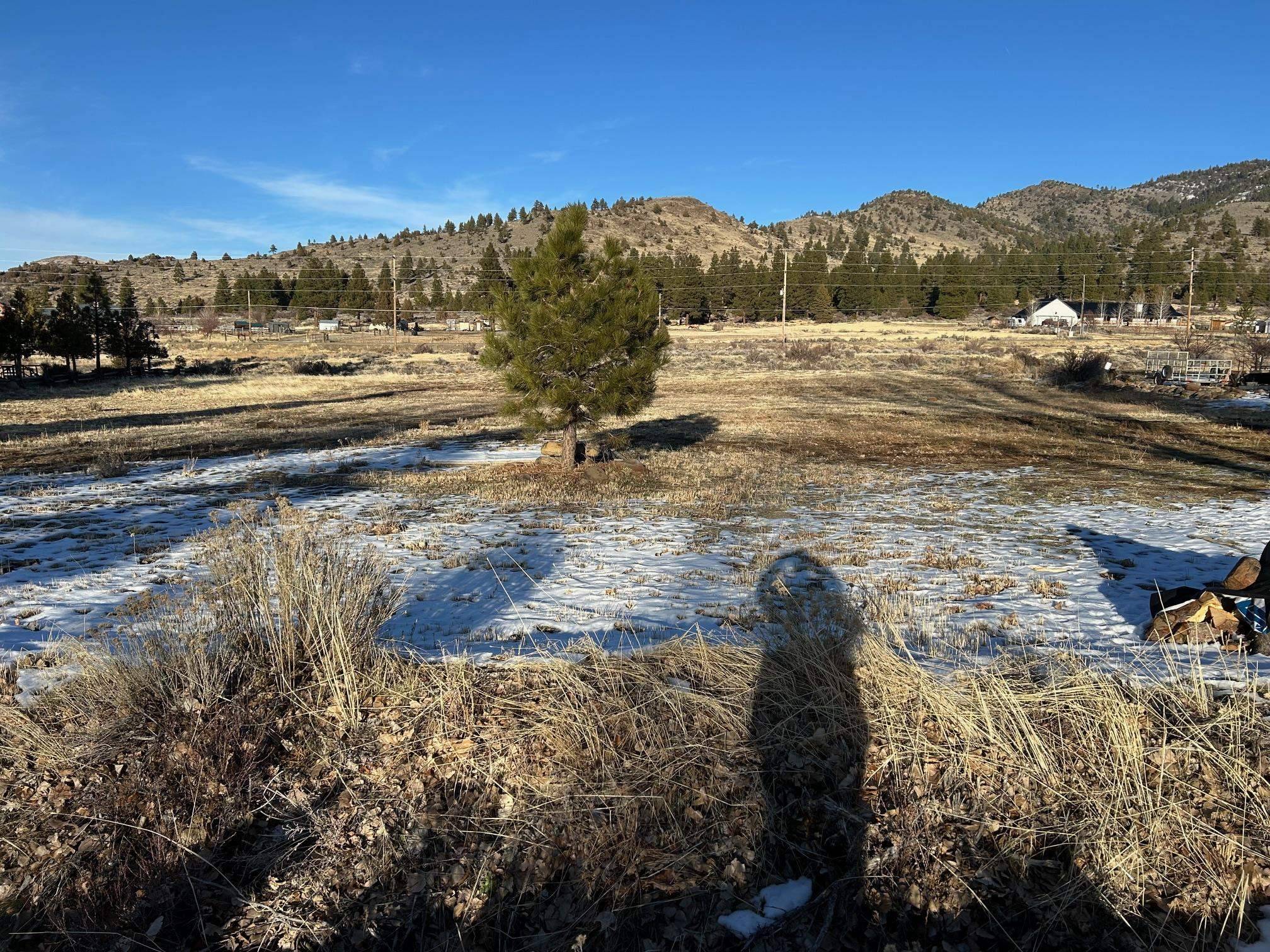 Loyalton, CA 96118,12 (?) Wrangler Trail