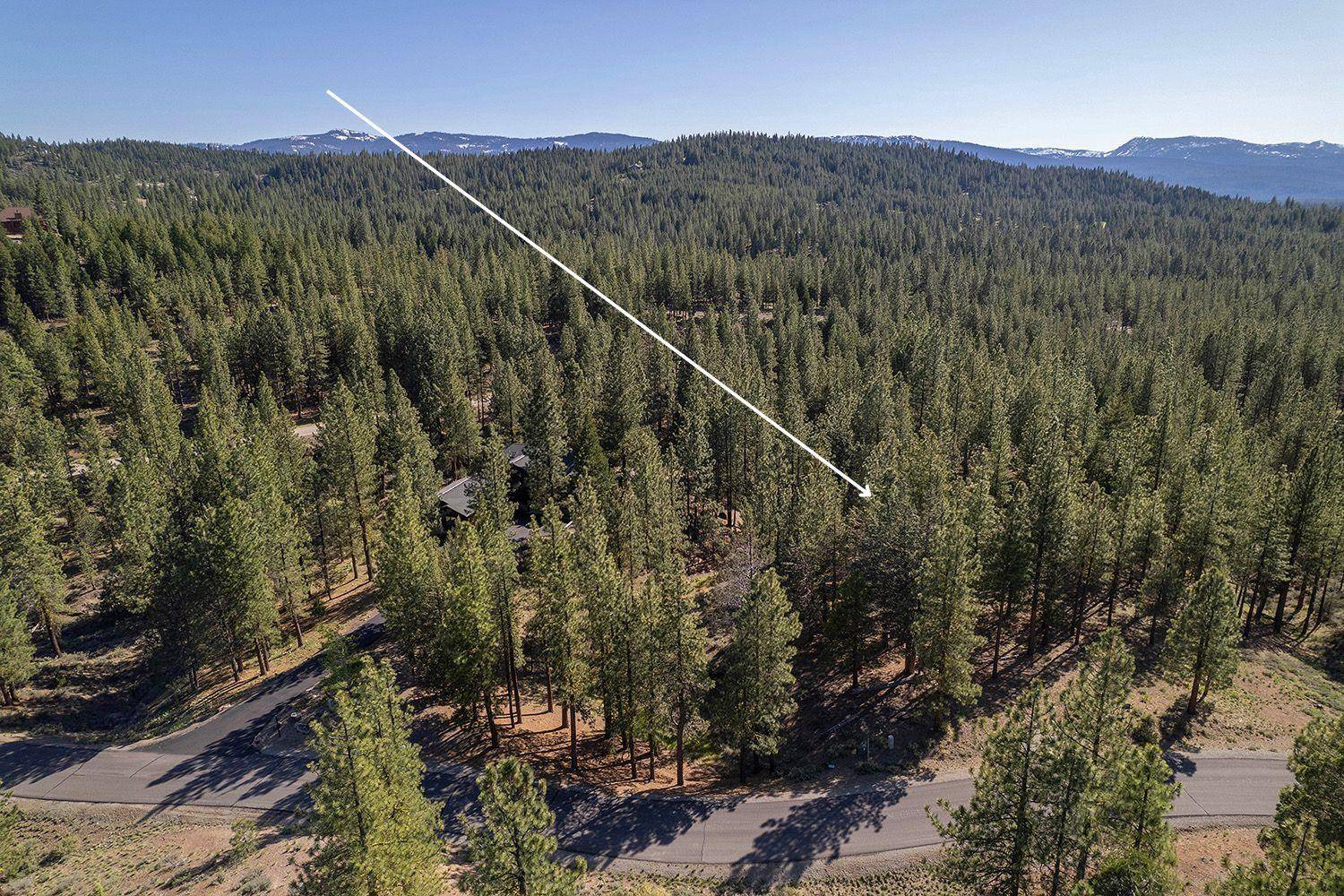 924 Dancing Bears, Portola, CA 96122-0000