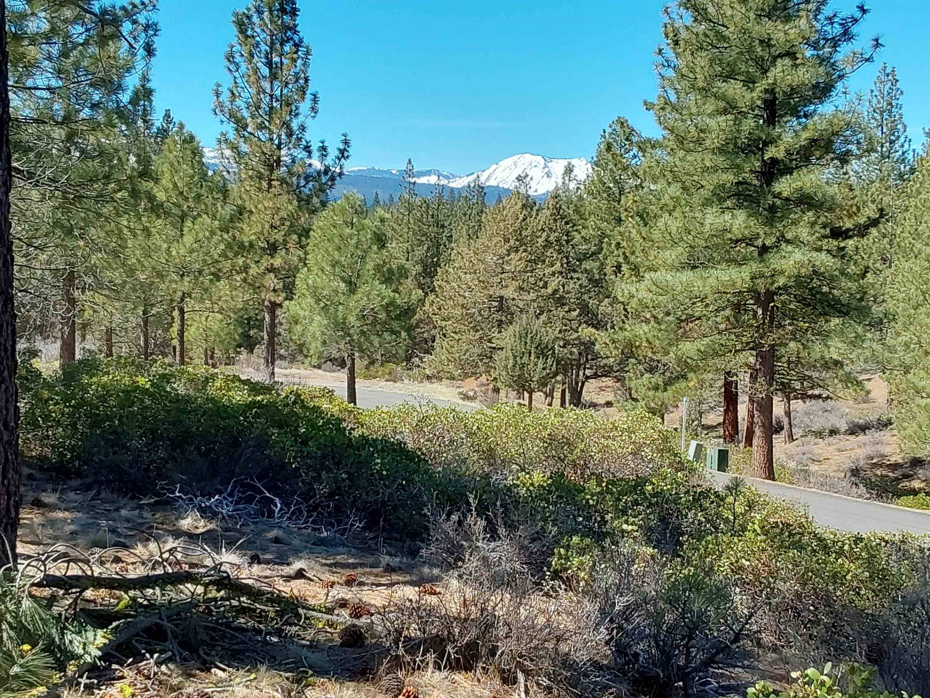 Portola, CA 96122,522 Sunburst