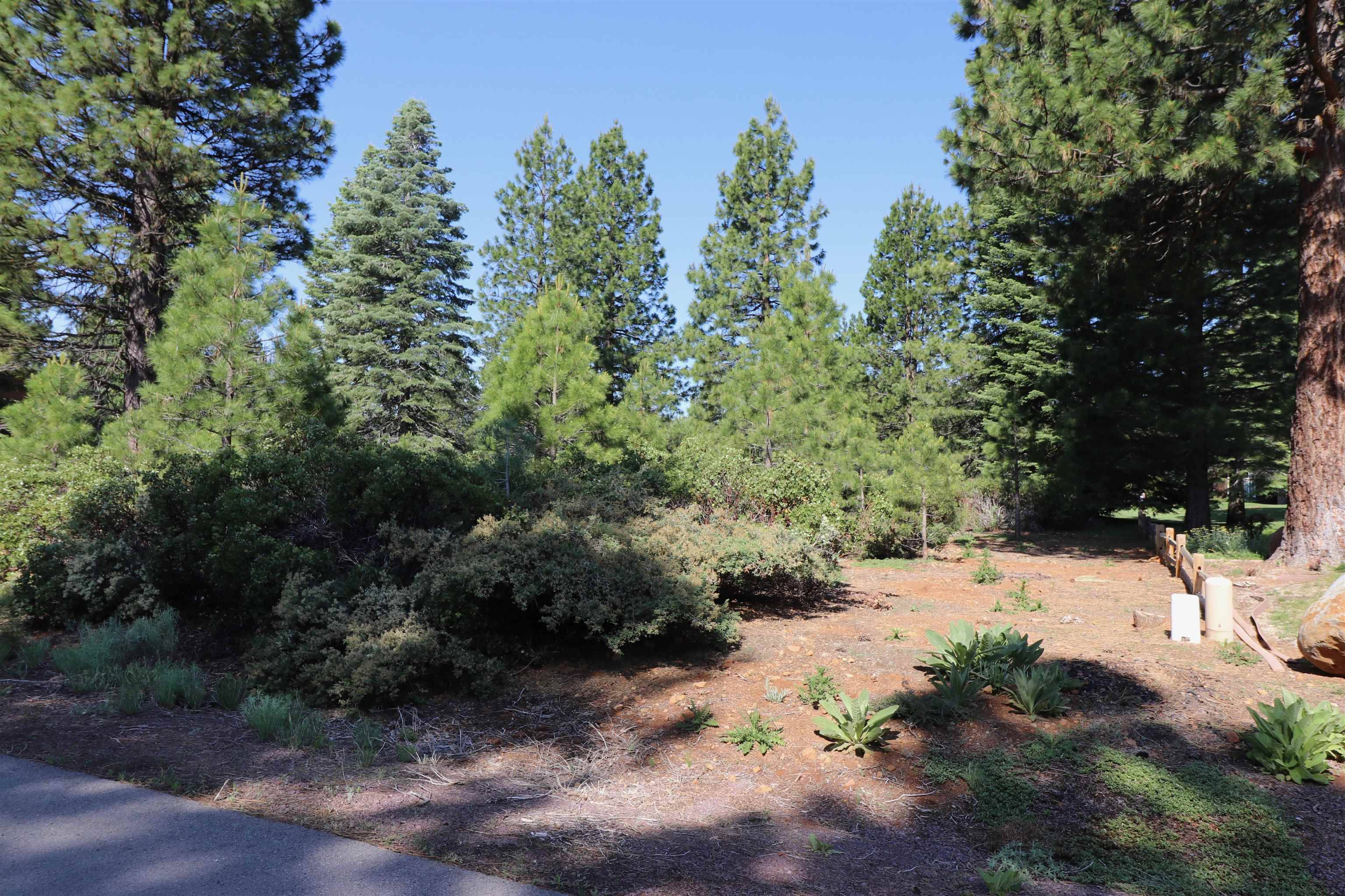 389 Flint Way, Lake Almanor, CA 96137-000
