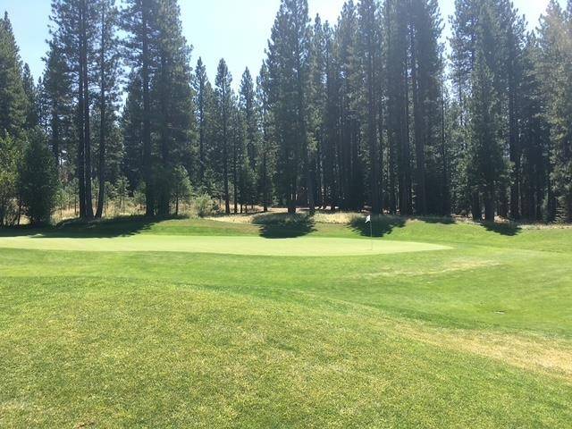 Clio, CA 96106,879 Prospector Drive