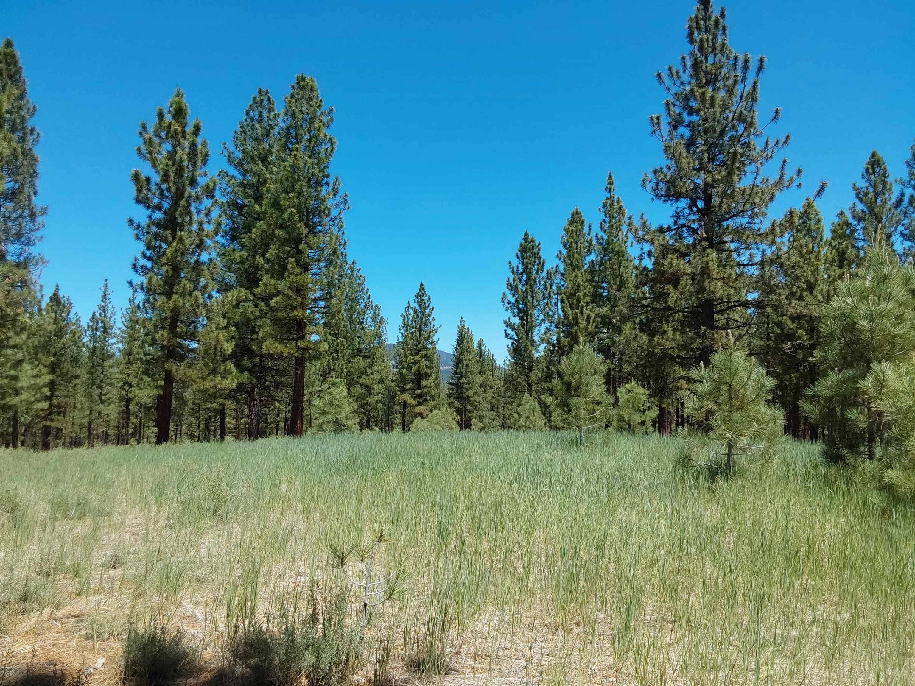 Portola, CA 96122,597 Deer Trail