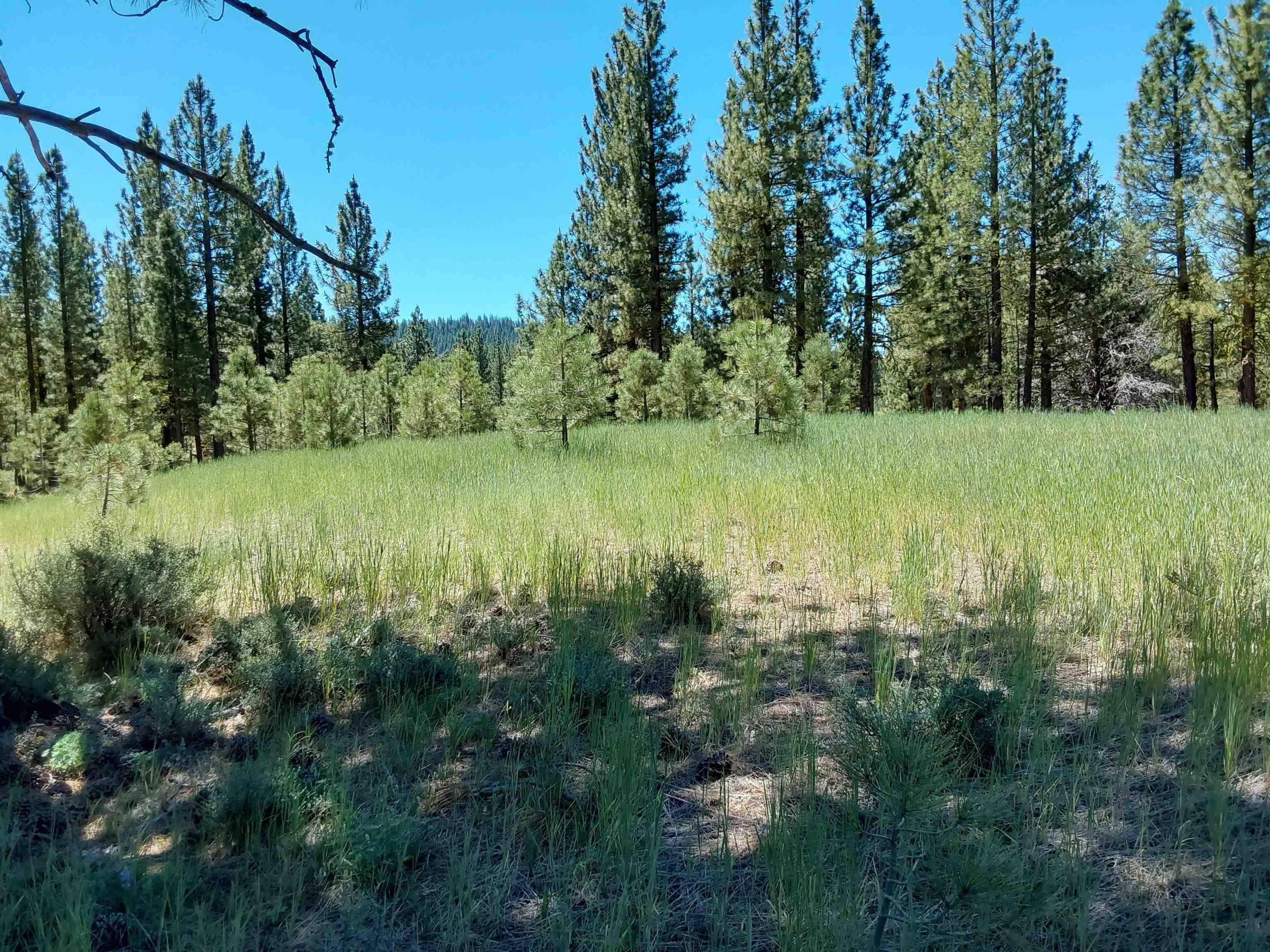 Portola, CA 96122,597 Deer Trail