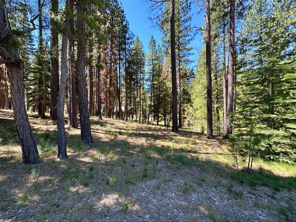 Clio, CA 96106,715 Miner's Passage