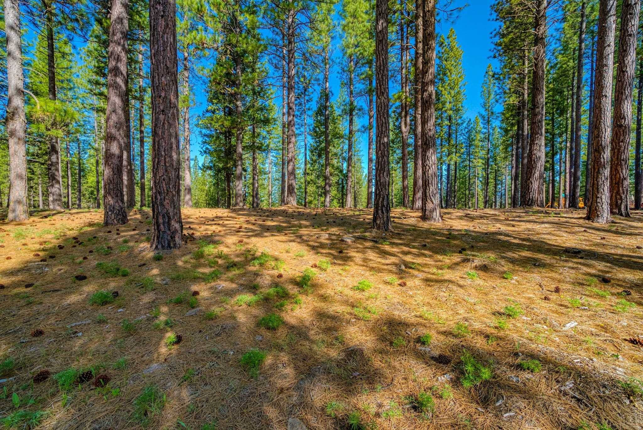 Clio, CA 96106,266 Boulder Drive