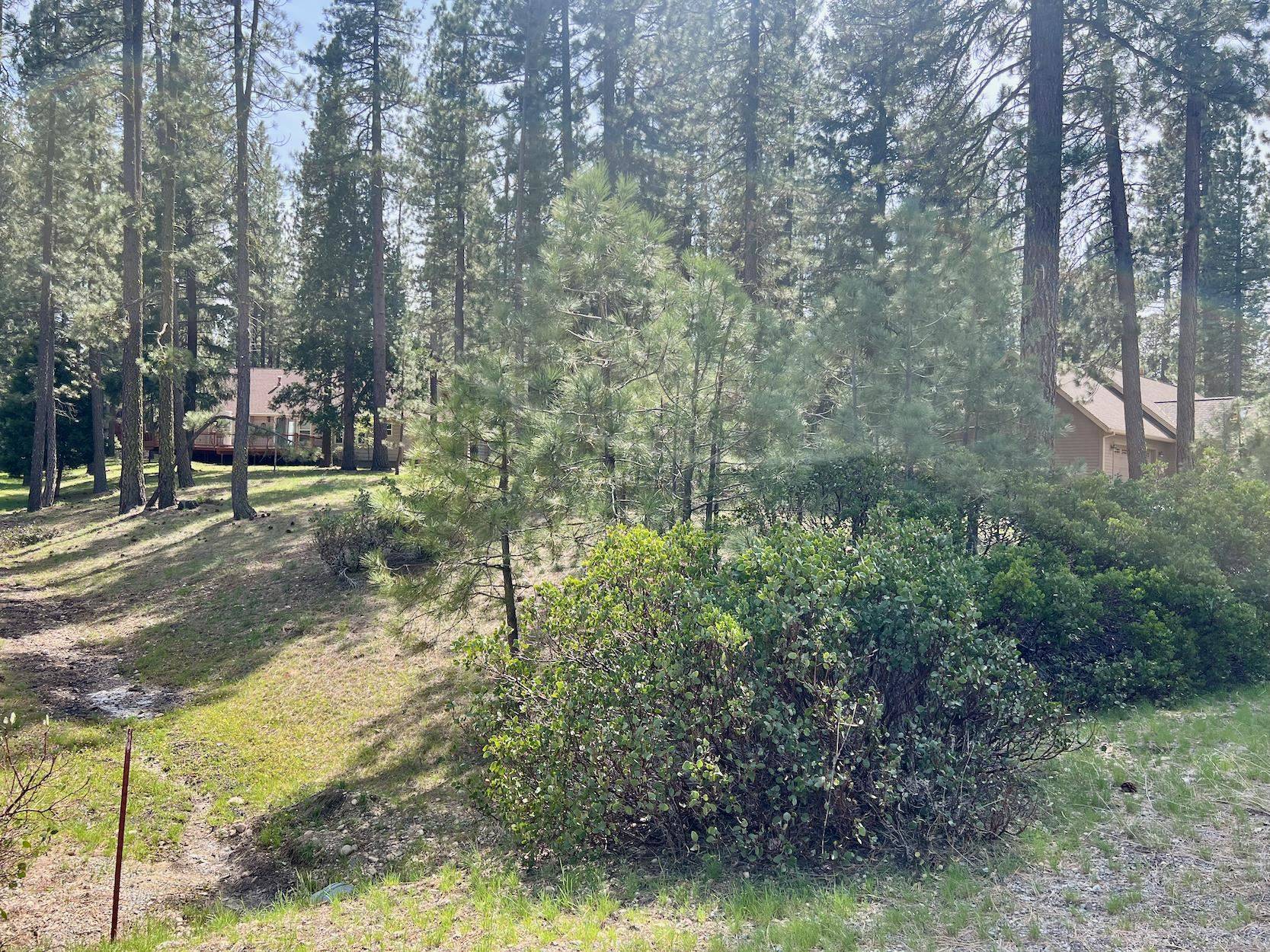 Blairsden, CA 96103,325 Eureka Springs Drive