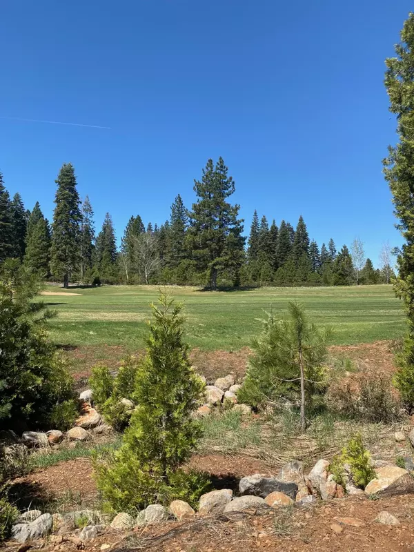 Lake Almanor, CA 96137,65 Vista Drive