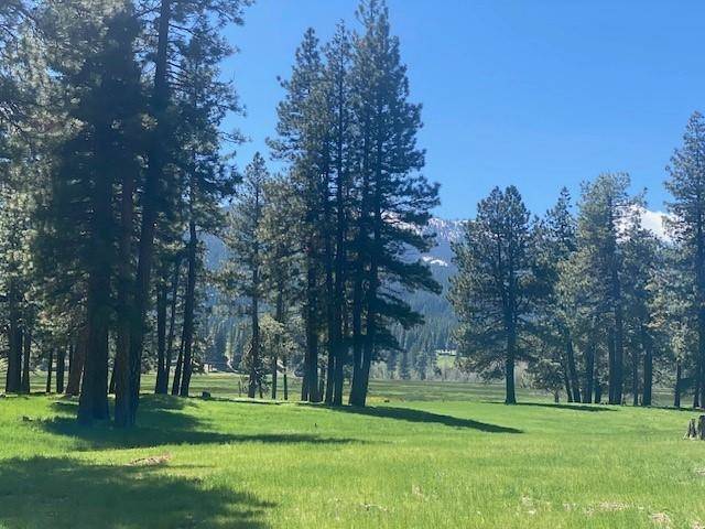 581 Redtail Loop, Clio, CA 96106