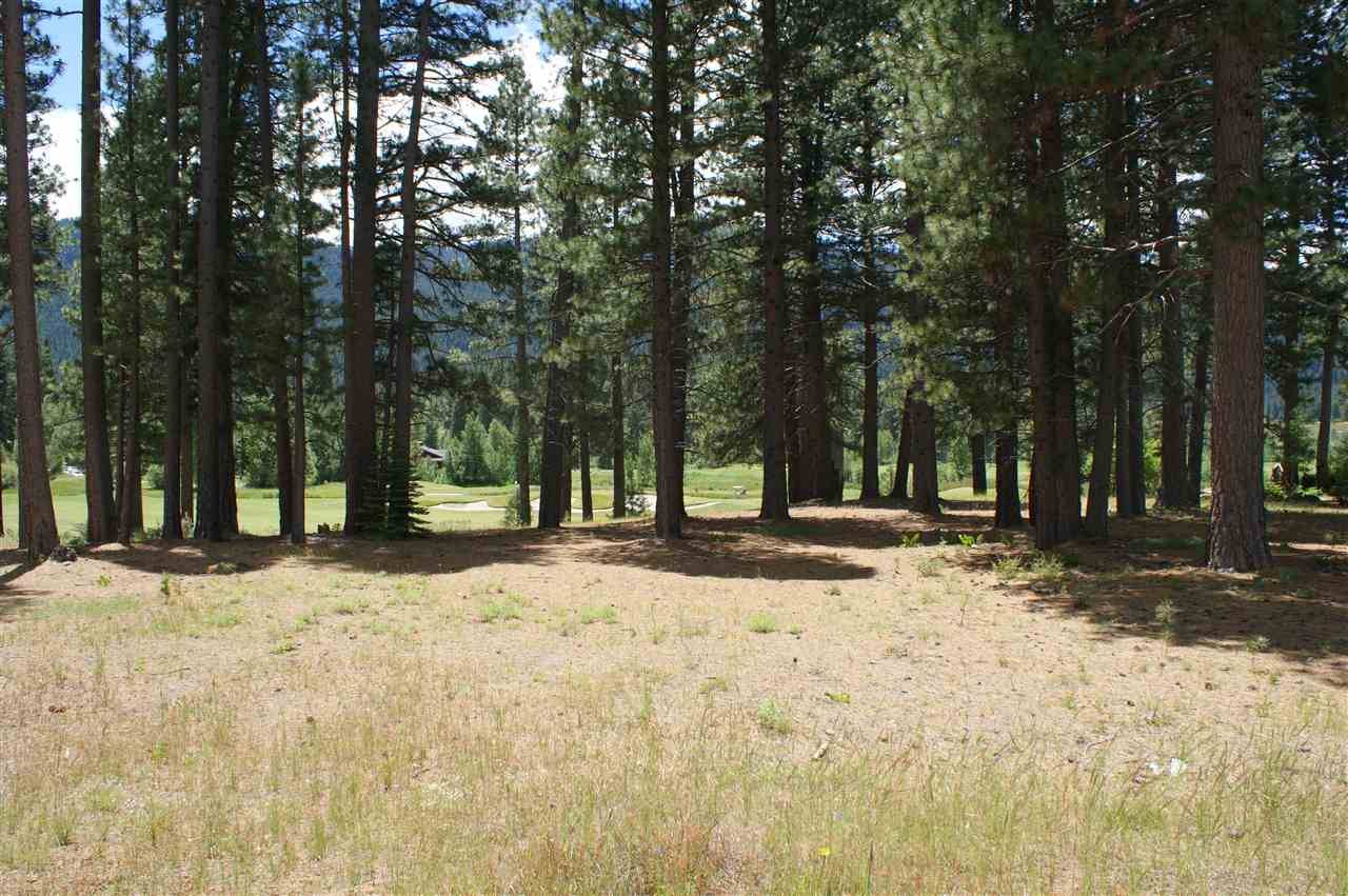 Clio, CA 96106,686 Bobcat Trail