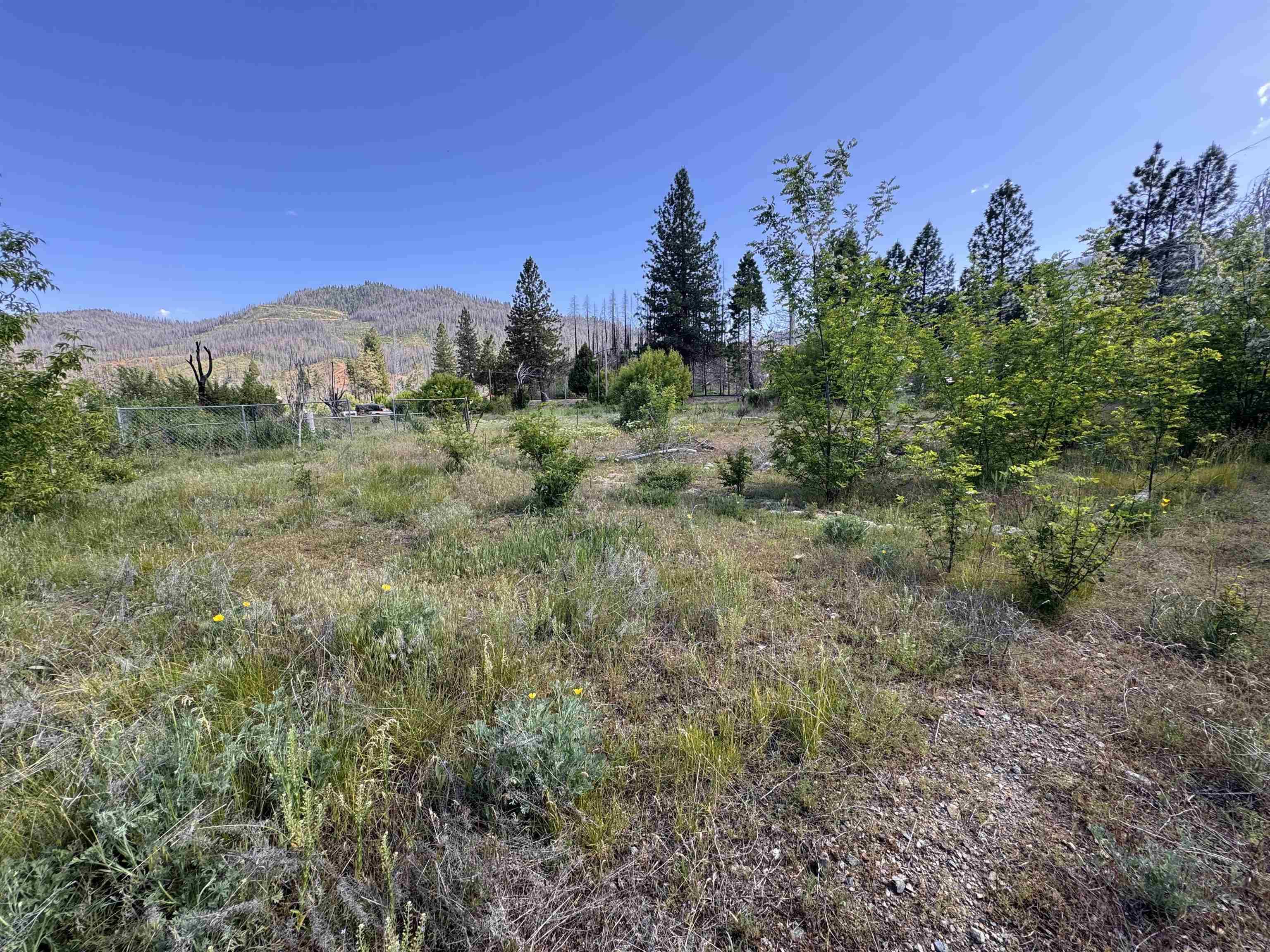 225 Greenville Wolf Creek Road, Greenville, CA 95947