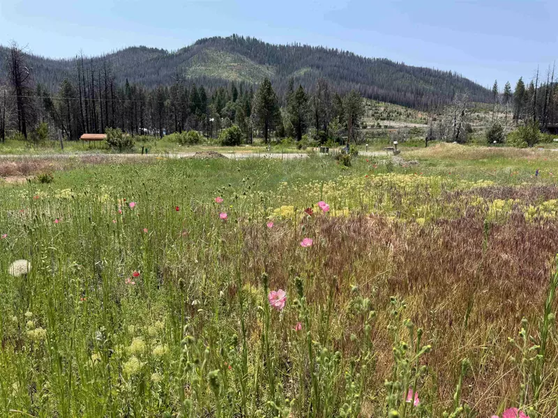 174 Hot Springs Road, Greenville, CA 95947