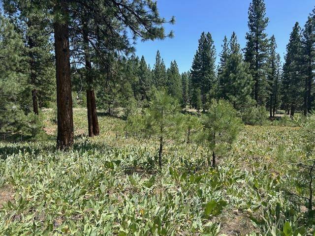 Portola, CA 96122-0000,157 Arrowleaf Road