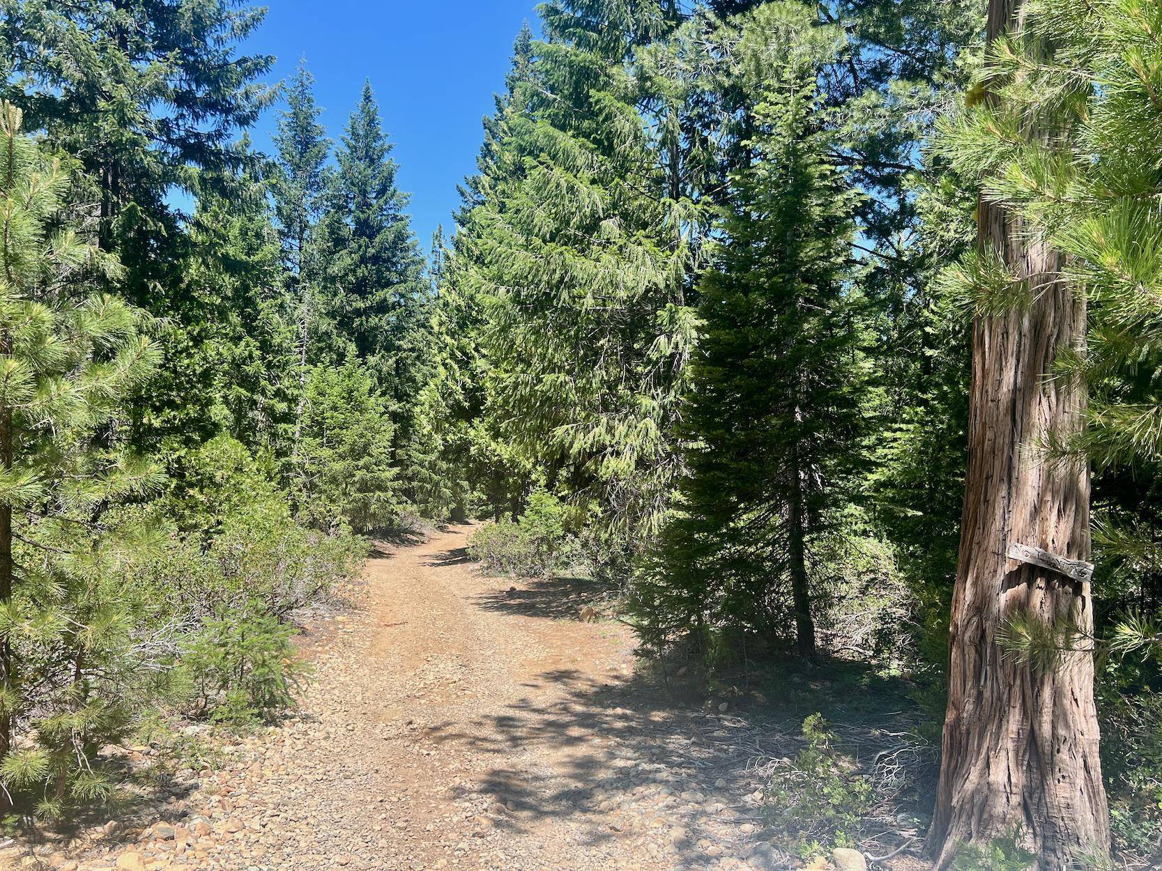 910 Mountain Drive, Johnsville, CA 96103