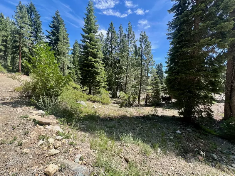 66 Eureka Trail, Johnsville, CA 96103