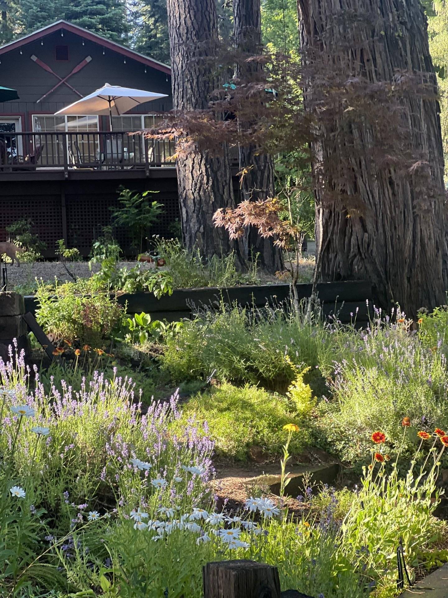 2723 Big Springs Road, Hamilton Branch, CA 96137