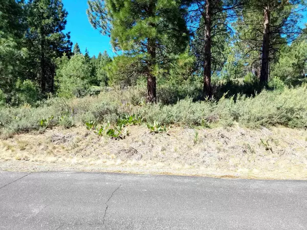 Portola, CA 96122,1175 Great Spirit