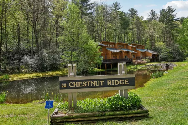 24 Chestnut Ridge RD. RD #23D, Sapphire, NC 28774