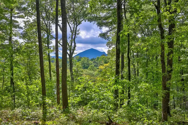 108 Uplands RD, Cashiers, NC 28717