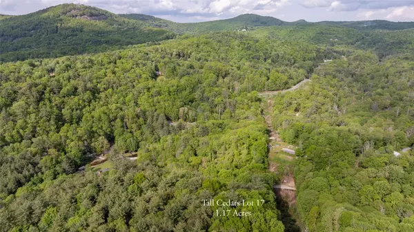Glenville, NC 28736,17 Power Line RD