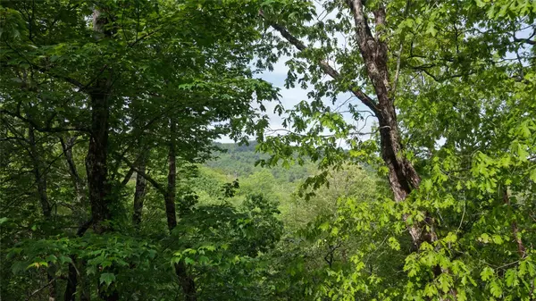 60 Pine Cone CT, Sapphire, NC 28774