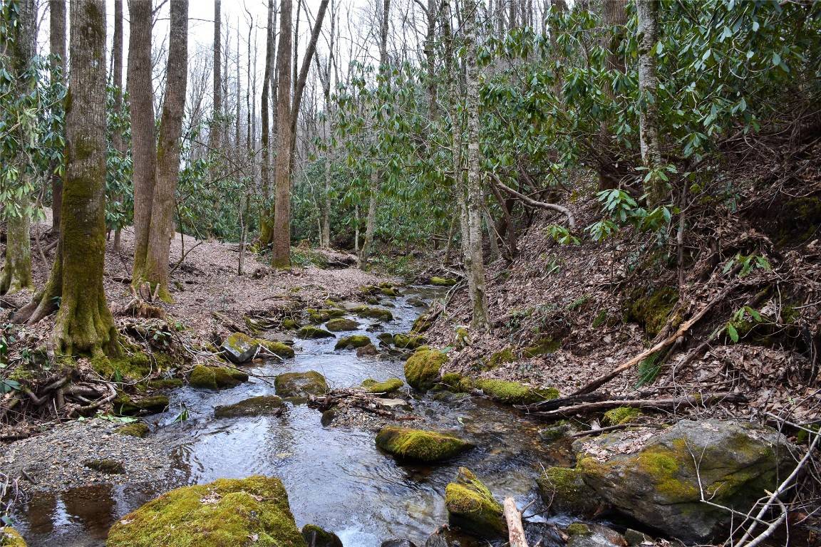 Lot O Spikemoss RD, Sapphire, NC 28774