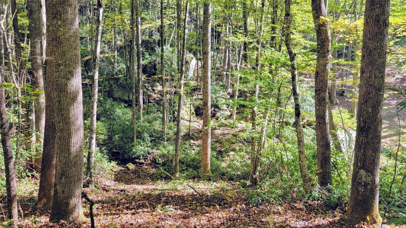 Lot P Spikemoss RD, Sapphire, NC 28774