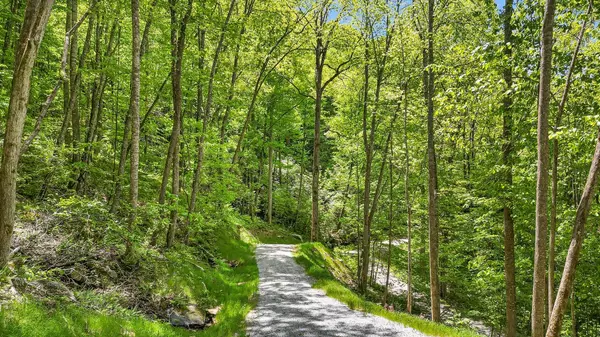 LT 5B Von Trapp LN, Tuckasegee, NC 28783