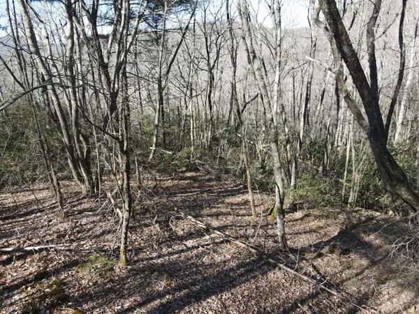 Cashiers, NC 28717,Lot 19 Glenridge