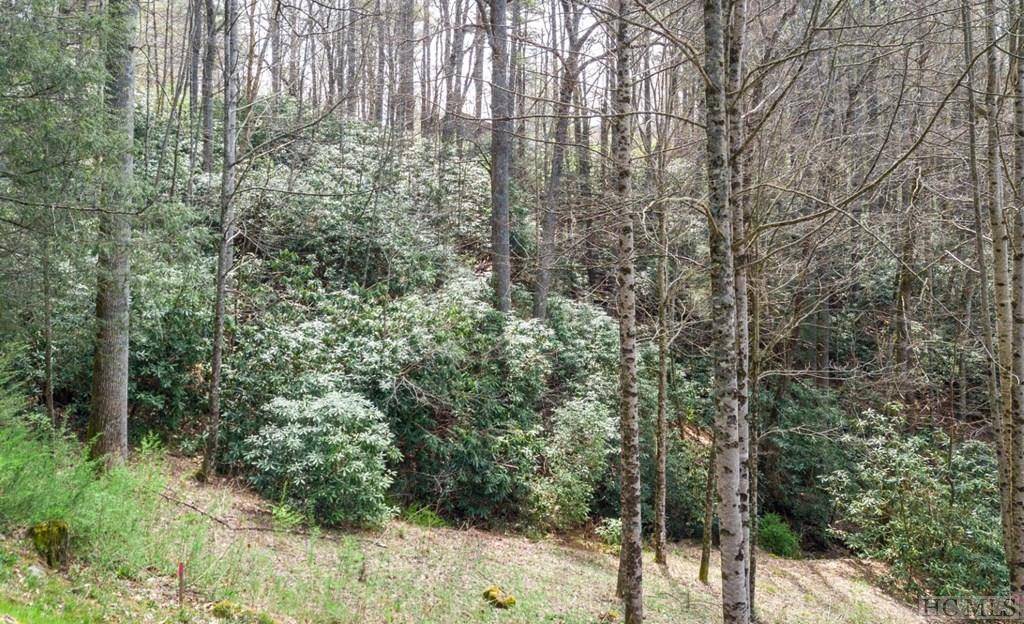 Highlands, NC 28741,TBD Foreman RD