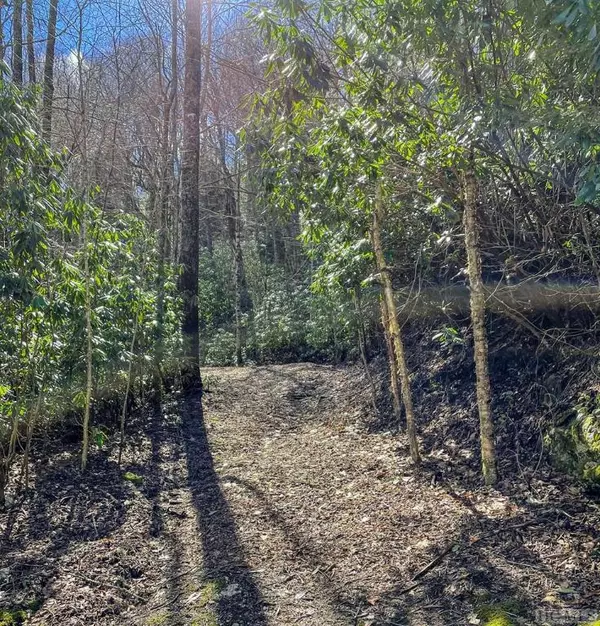 Highlands, NC 28741,A-14 Falls Drive West