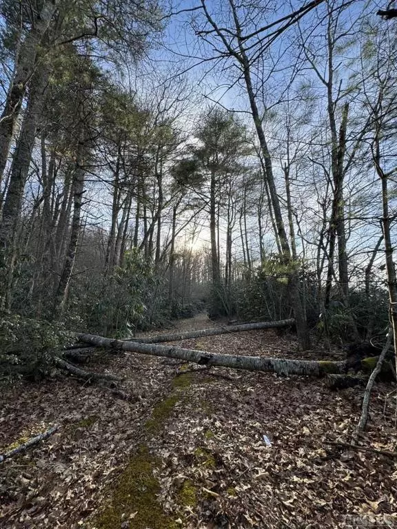 Highlands, NC 28741,0 Wilson RD