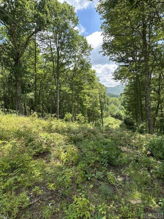580 N Robinson Creek RD, Glenville, NC 29736