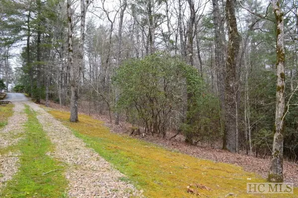 L-8 Silver Springs RD, Cashiers, NC 28717
